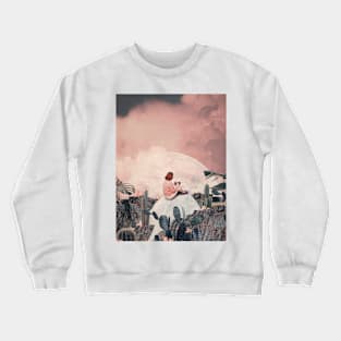 I will Send You some Pictures Crewneck Sweatshirt